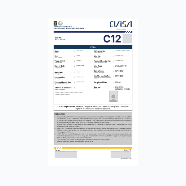Single Entry Pre Investment Visa (C12)
