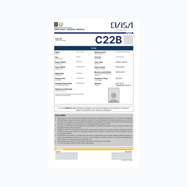 Single Entry Internship Visa (C22B)